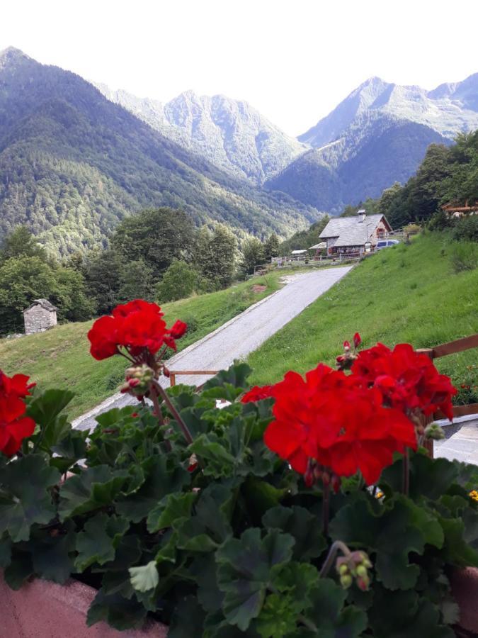 Casa All'Alpe Gaggetto B & B Anzino Exterior foto