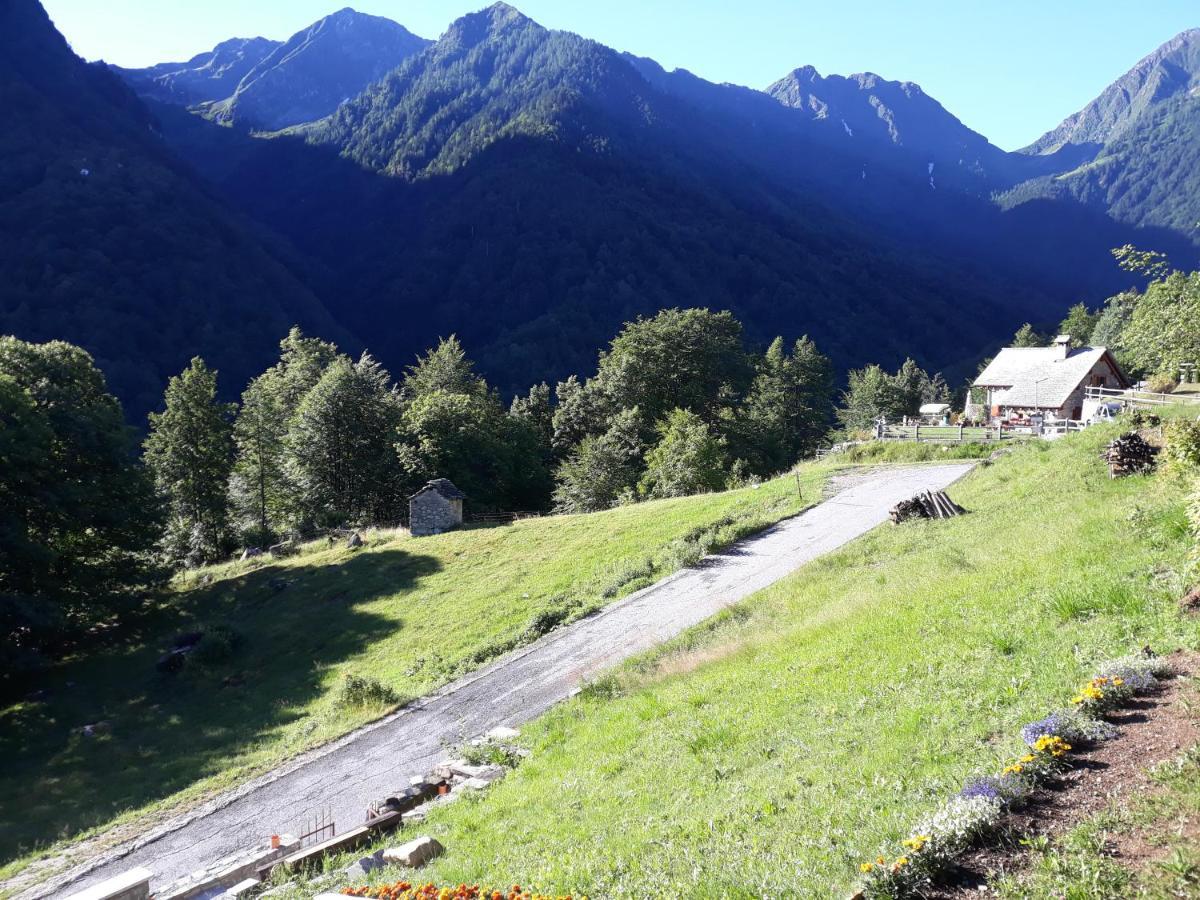 Casa All'Alpe Gaggetto B & B Anzino Exterior foto