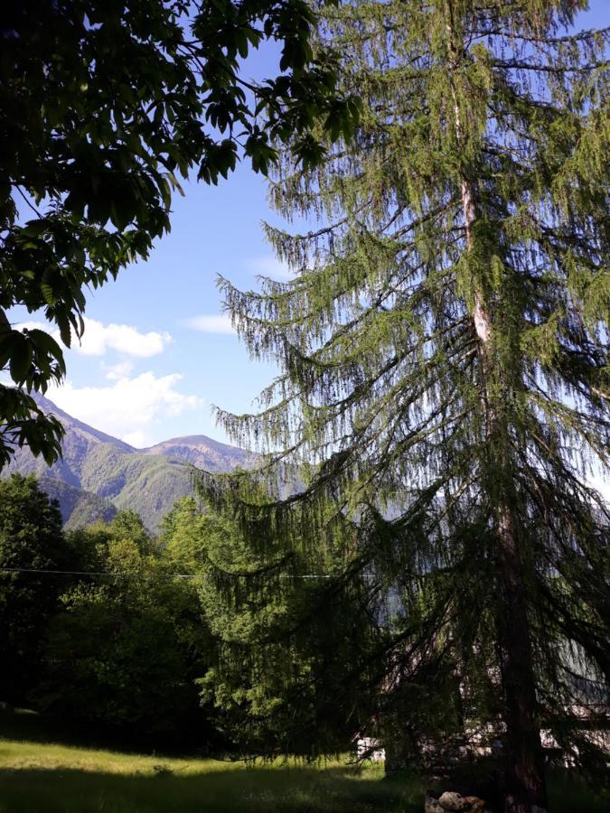 Casa All'Alpe Gaggetto B & B Anzino Exterior foto