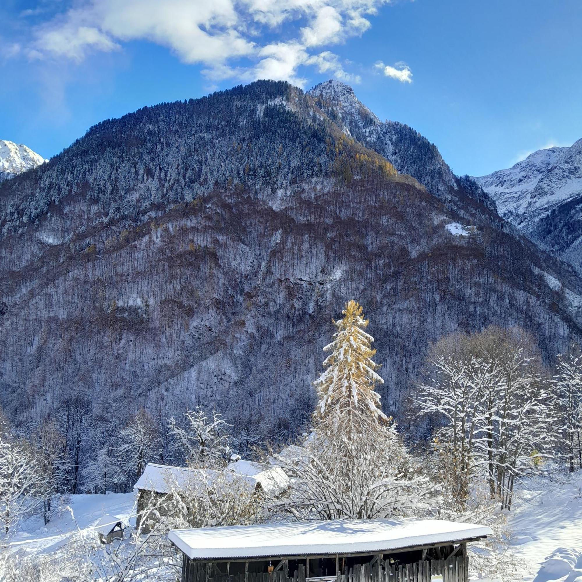 Casa All'Alpe Gaggetto B & B Anzino Exterior foto